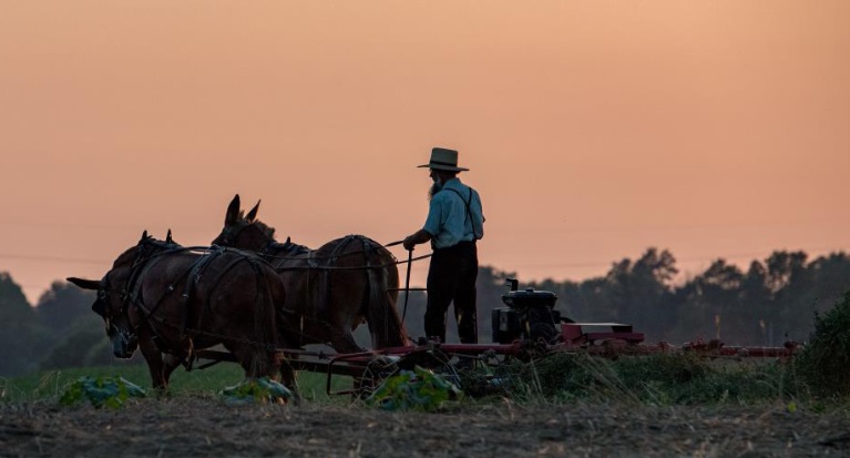 De Amish: een controlegroep voor het technofeodalisme - Dissident.one