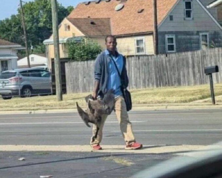 "Kan het niet meer aan": inwoners van Springfield, Ohio smeken om hulp nadat 20.000 Haïtianen de stad overspoelen en lokale huisdieren eten - Dissident.one