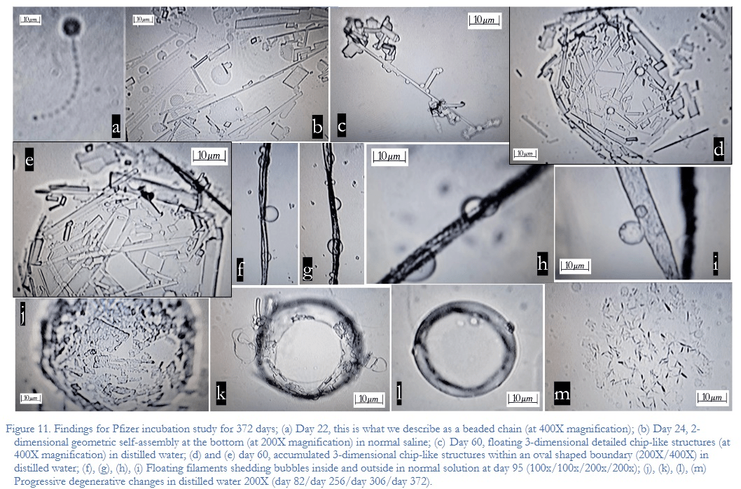 Horror: Wetenschappers vinden bizarre nanostructuren in covidvaccins Pfizer en Moderna - Alliantie Voor Vrijheid