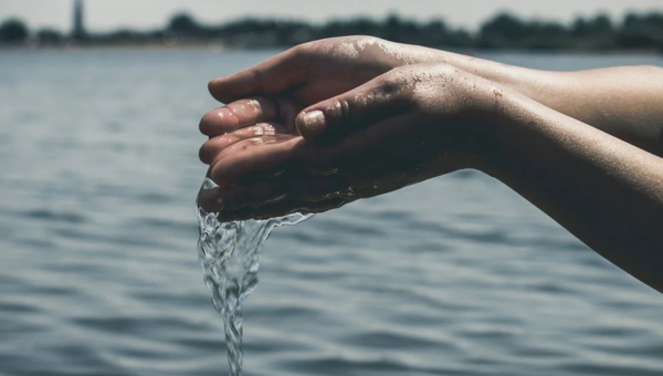 Paniek over de waterkwaliteit is nergens voor nodig. Toch zijn er boetes en procedures in aantocht - Wynia's Week