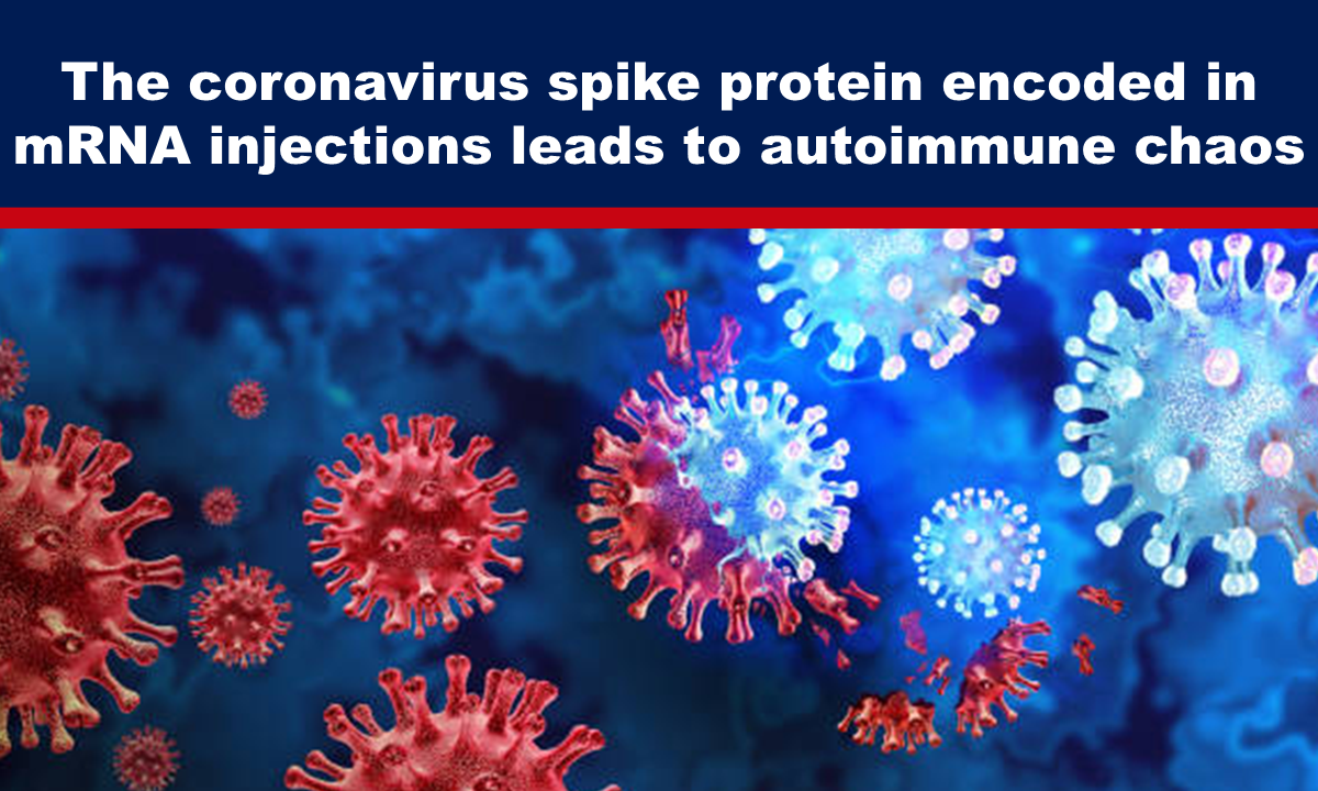 The coronavirus spike protein encoded in mRNA injections leads to autoimmune chaos – The Expose