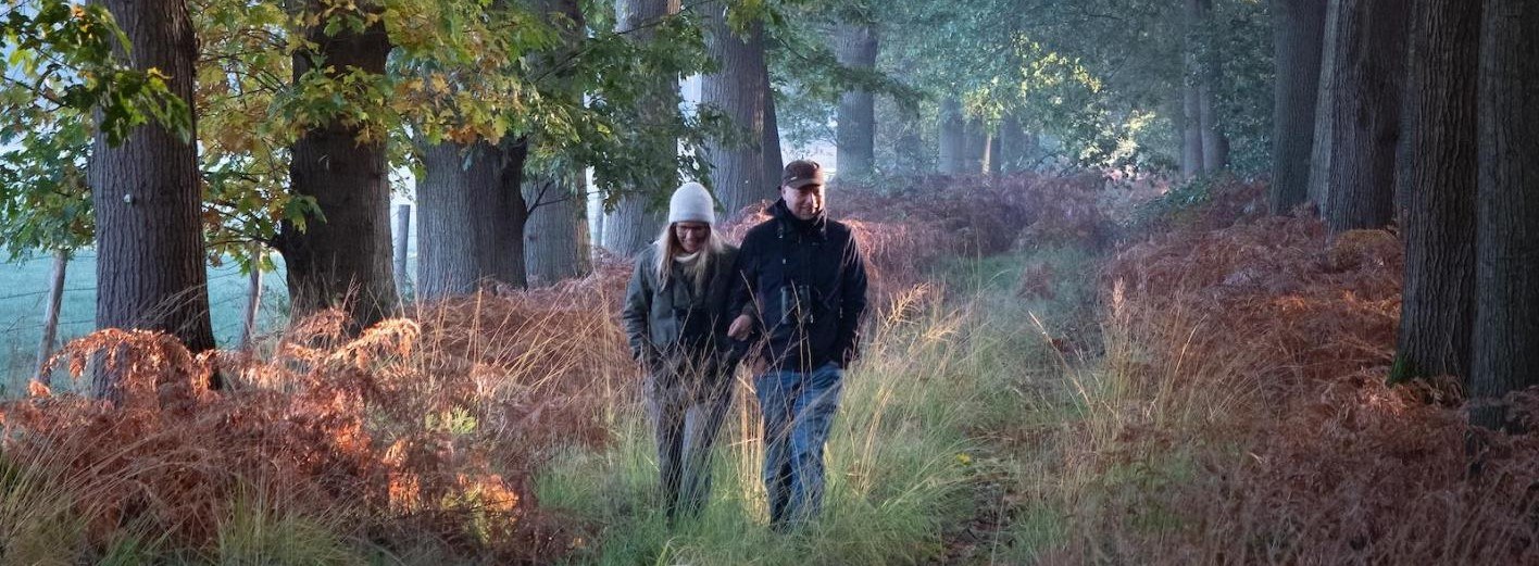 Herfstactiviteiten: de gezondheidsvoordelen van wandelen in de natuur - Yoors