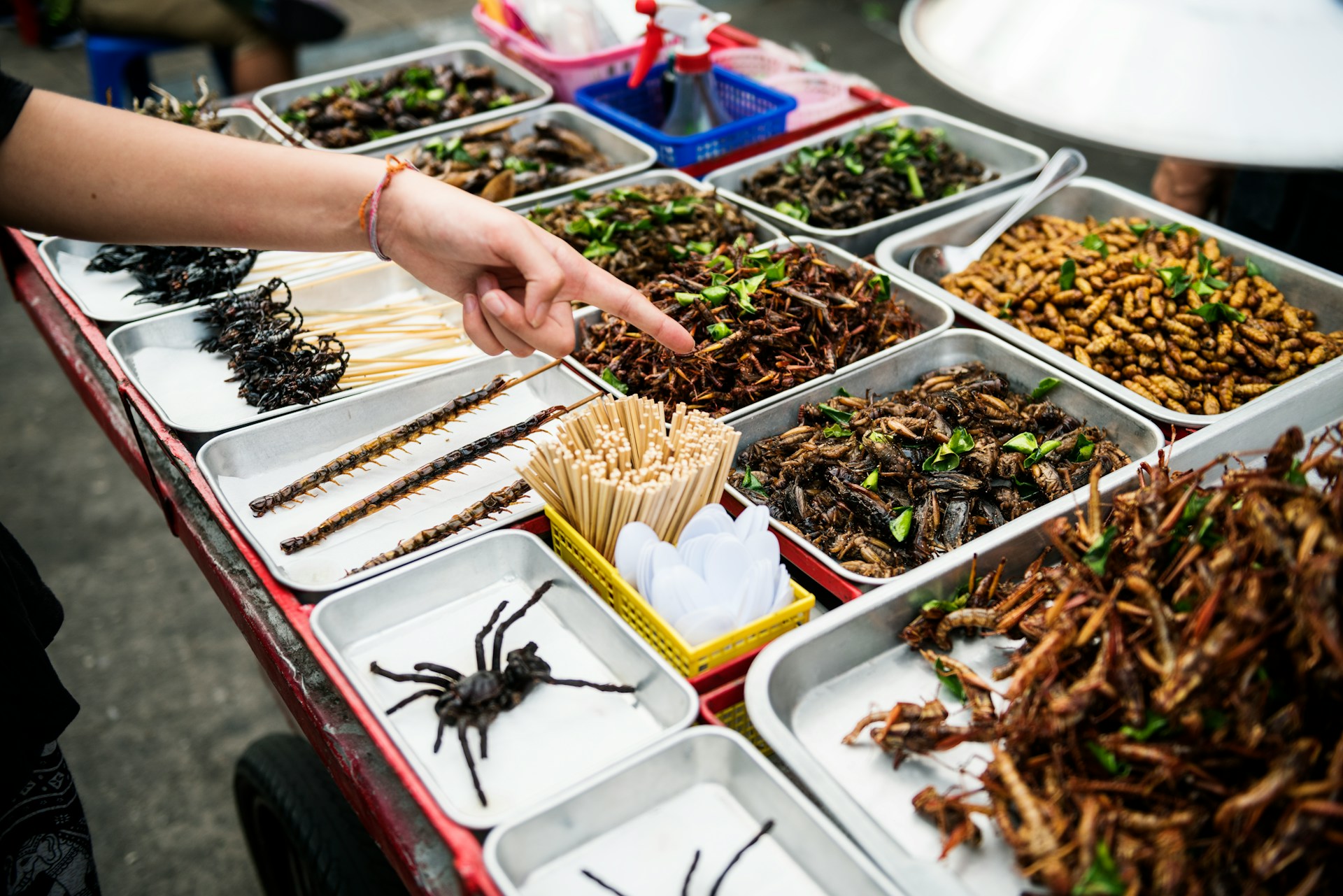 WEF 'Eat the Bugs' Fake Meat Agenda Moves to Reduce Meat Consumption in Phases