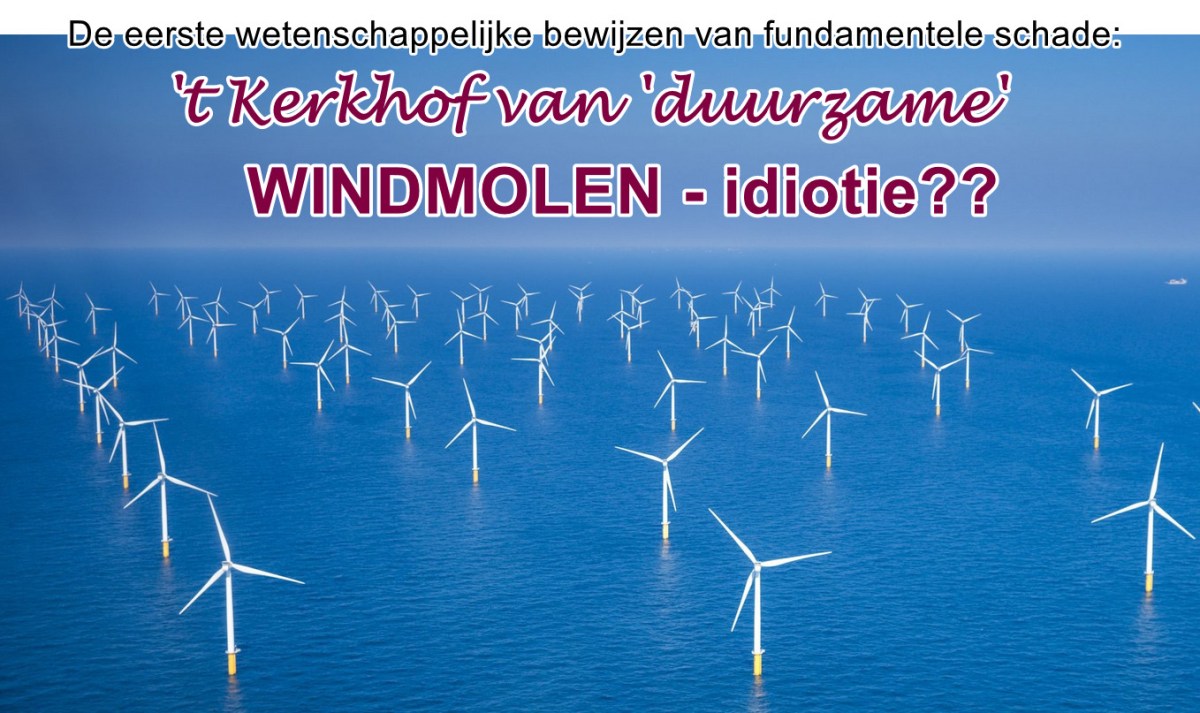 BEWIJS: grote schade zeeleven door windmolens…!! – WantToKnow.nl