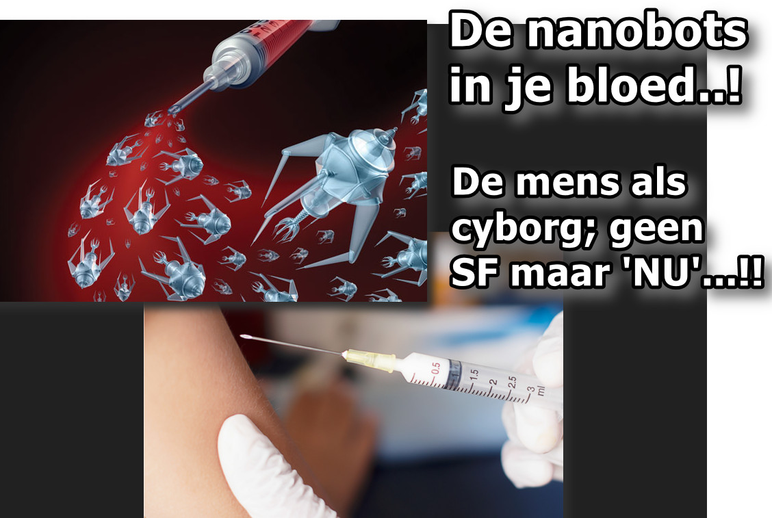 Wat is er met ons bloed aan de hand? – WantToKnow.nl