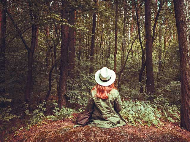 Bostherapie: Hoe tijd doorbrengen in het bos je geest, lichaam & ziel kan helen - Nieuwetijds