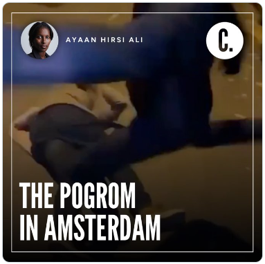 De pogrom in Amsterdam (7 november 2024) | E.J. Bron