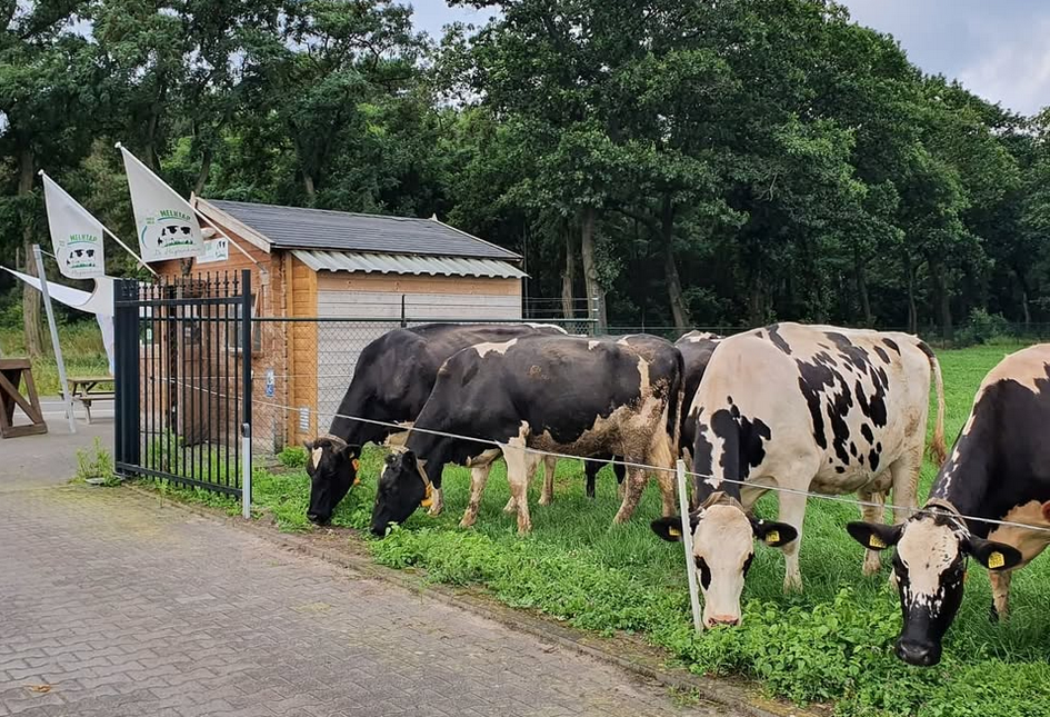 Echte melk | Bovaer vrij - Preplijst