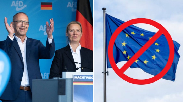 AfD voor het vertrek van Duitsland uit de EU, de Euro en de NAVO - Dissident.one